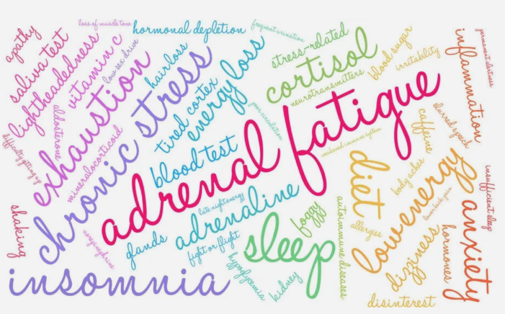 Adrenal fatigue and the stress connection